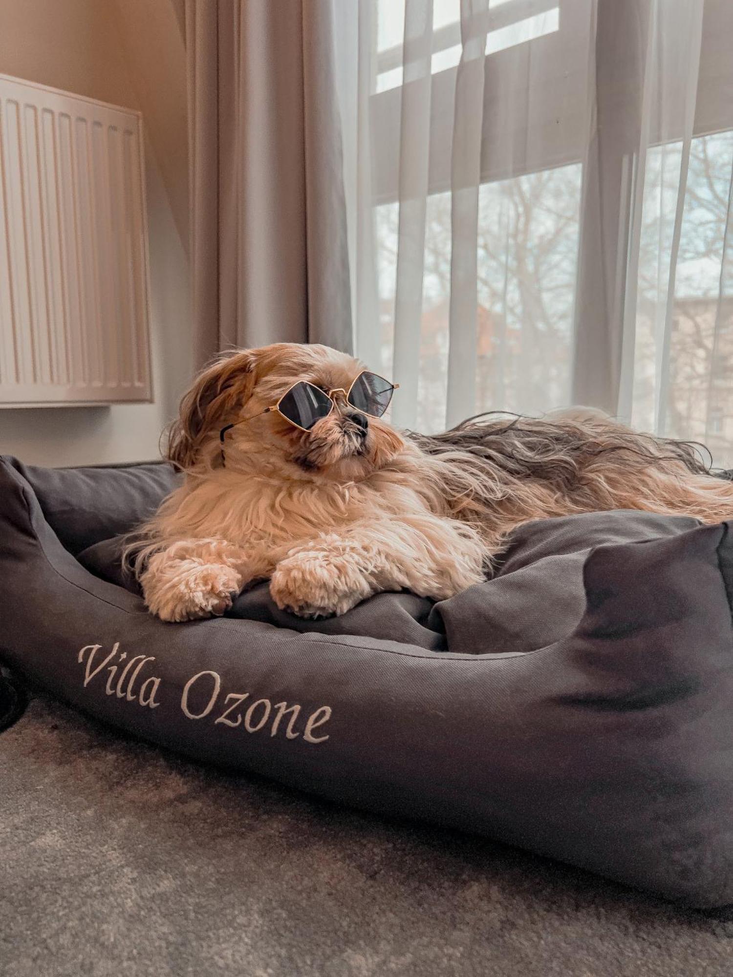 Villa Ozone Sopot Dış mekan fotoğraf