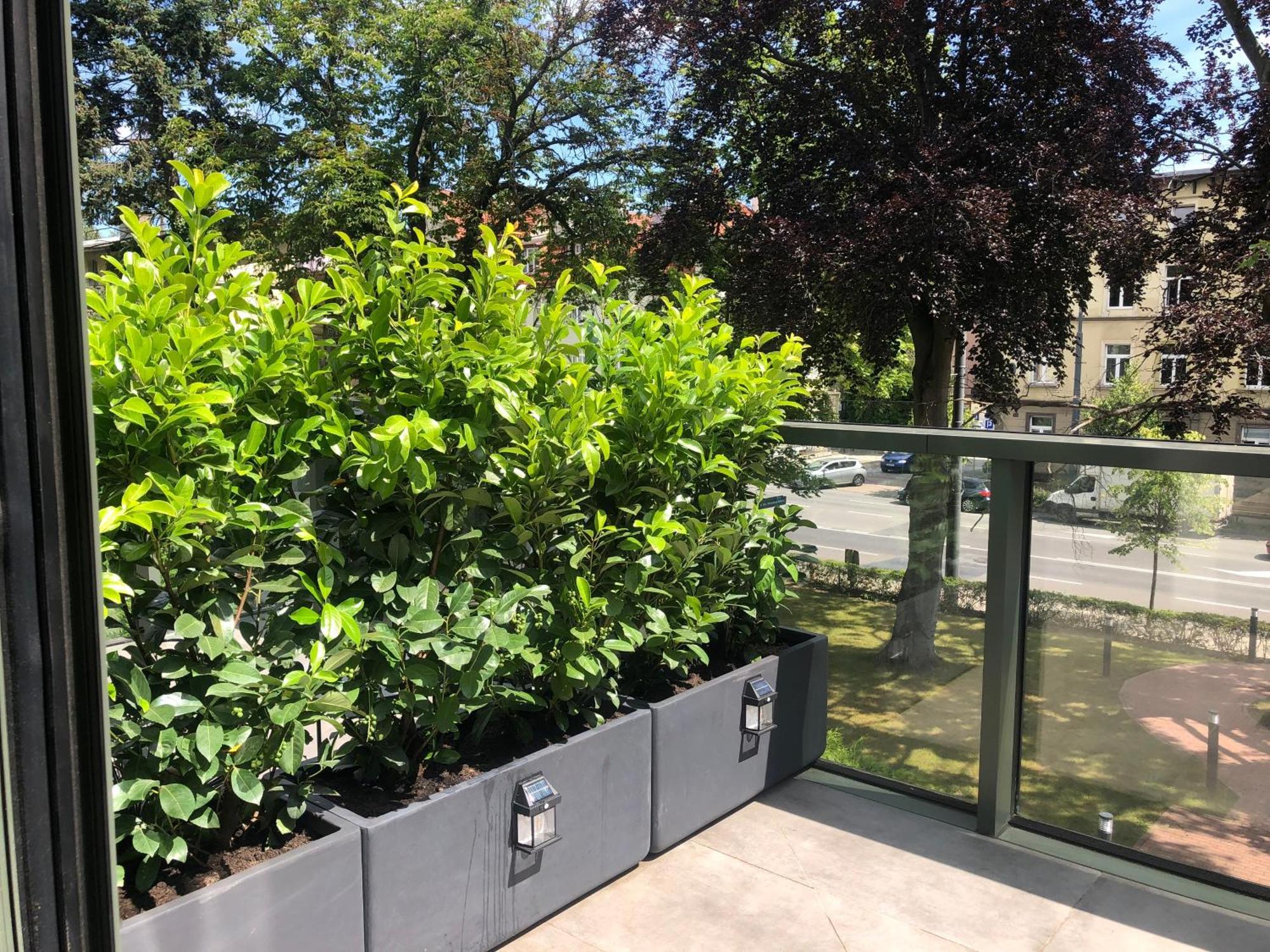 Villa Ozone Sopot Dış mekan fotoğraf